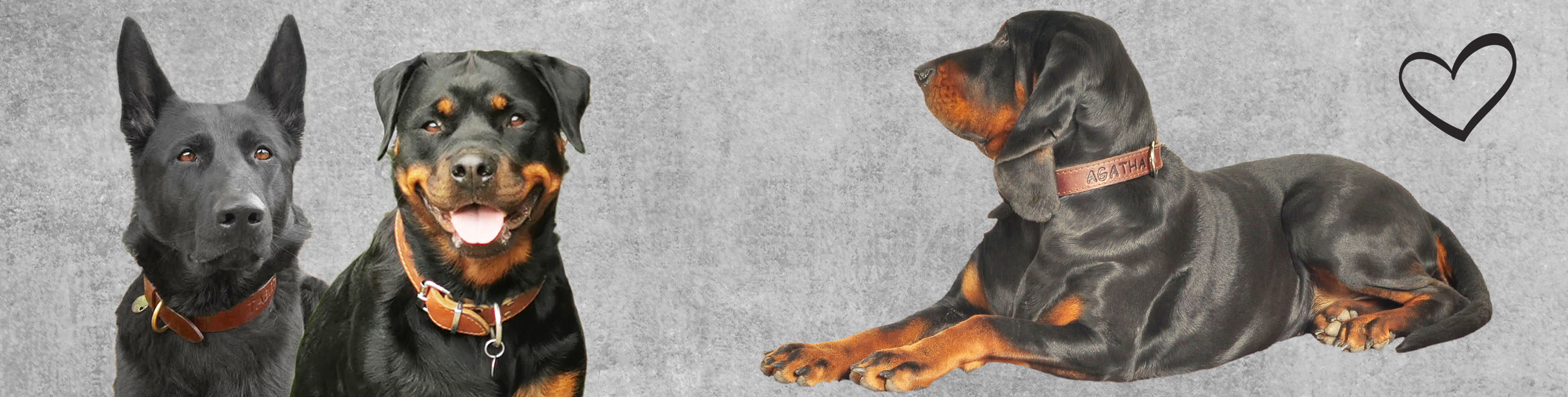 Sede pozadi uzke dlouhe sirka stranky Agatha Gretha Tabi web sv